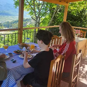 https://house-hasko.albaniahotels.org